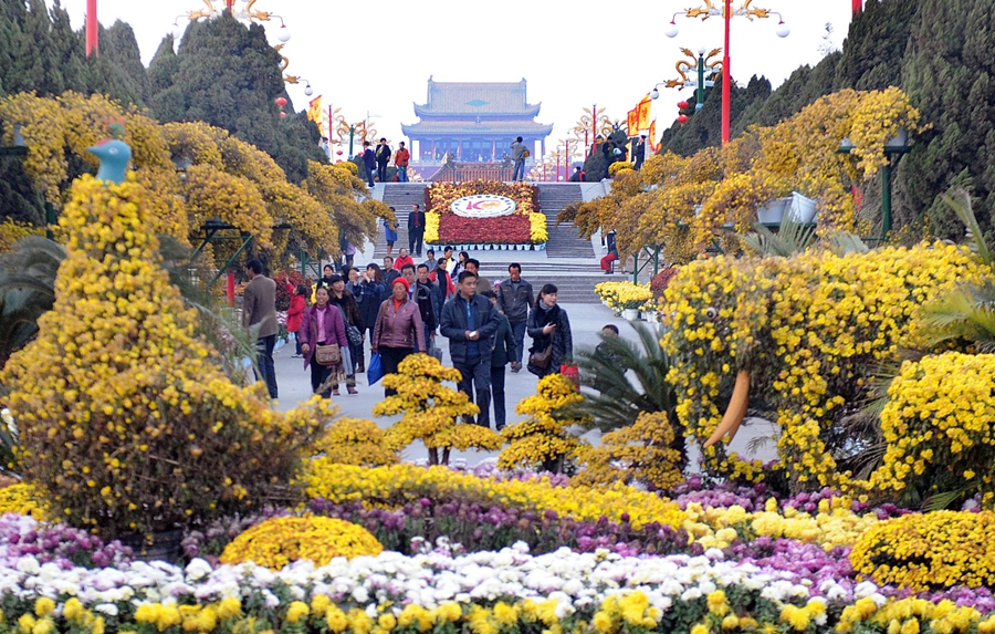 2010 中國開封第28屆菊花花會