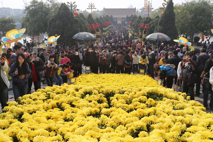 2013 中国开封第31届菊花文化节