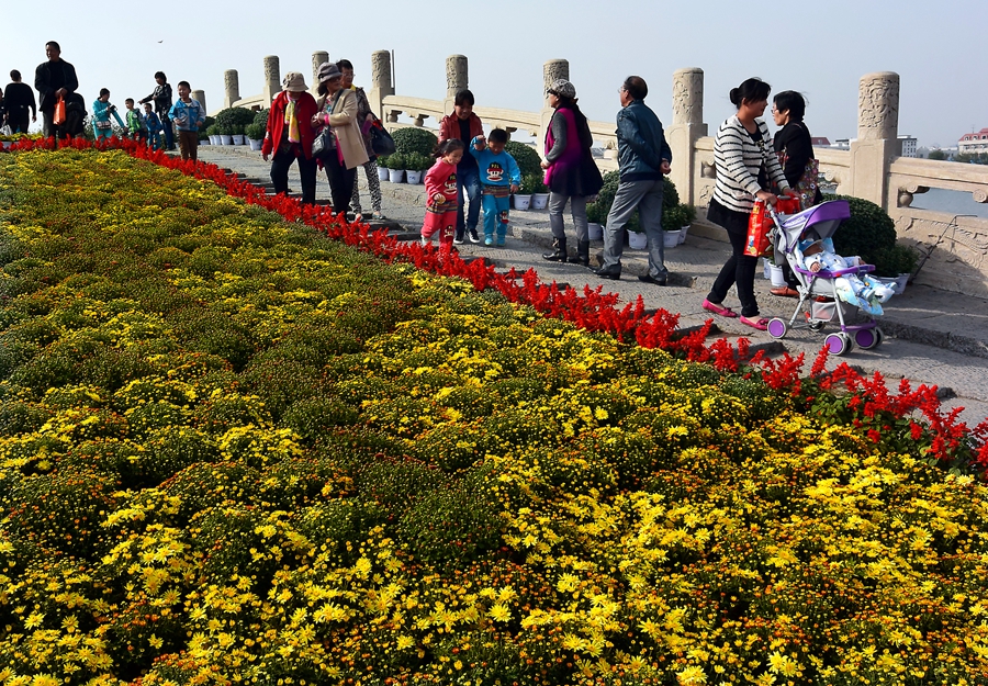 2014 中國開封第32屆菊花文化節