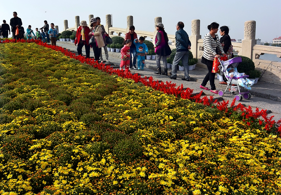 2014 中国开封第32届菊花文化节