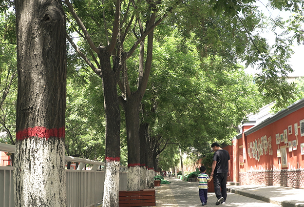 希望他每天都健健康康，慢慢长大，让我们可以有更多的时间去感受他的成长。