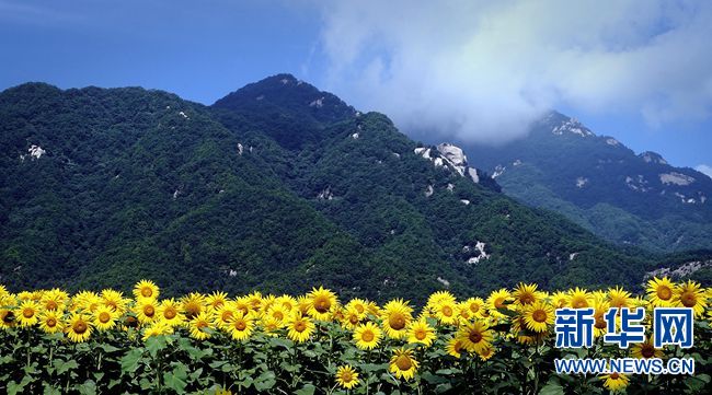 河南省践行绿色发展理念 山青水秀农田美