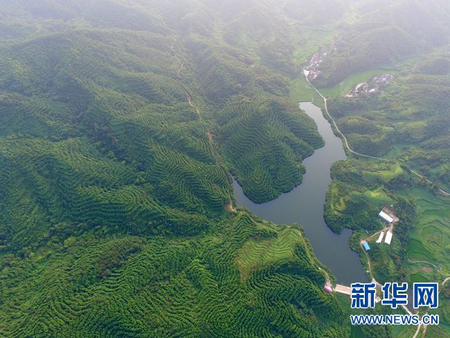 河南省践行绿色发展理念 山青水秀农田美