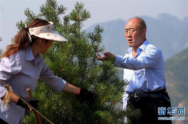 （图片故事）（6）“独臂村支书”的美丽山村梦