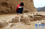 郑州发现4万年前古人类居住遗址
