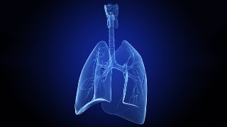 【商丘新型肺炎
 /商丘新型肺炎最新情况】