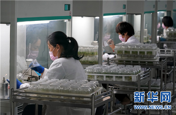 抢出一个身位 许昌跑出经济复苏加速度