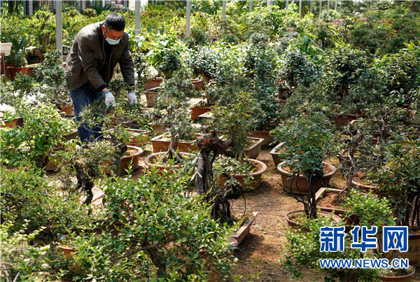 抢出一个身位 许昌跑出经济复苏加速度