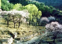 太行明珠郭亮村