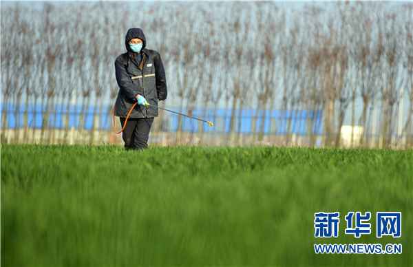 颗粒归仓！庚子之丰——2020年河南夏粮丰收图景