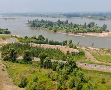 河南孟津：黄河湿地群鸟翩跹