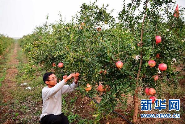 （全面建成小康社会“百城千县万村调研行”·图文互动）（11）水清民富县强——南水北调中线工程核心水源地河南淅川走出绿色发展路