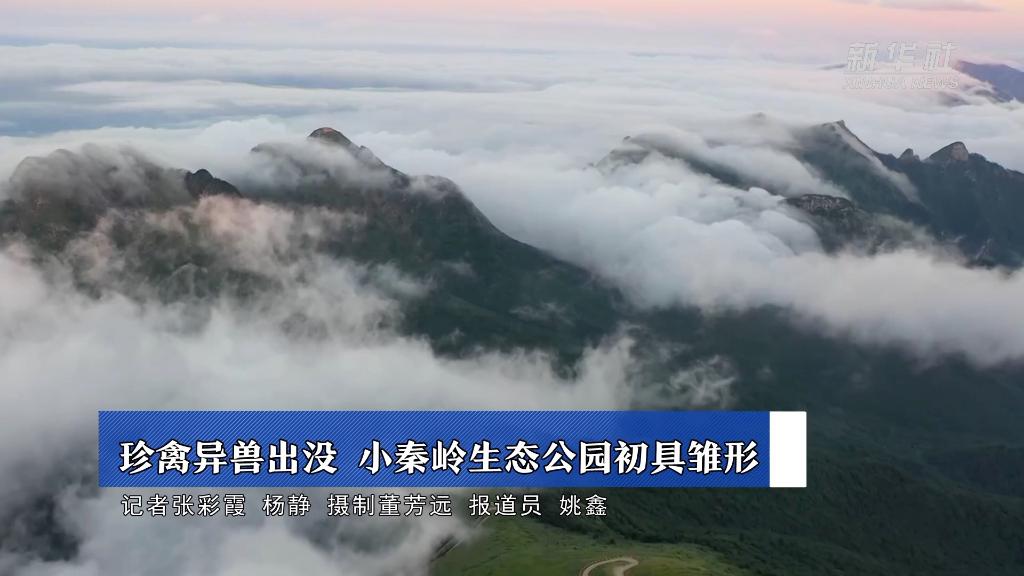 新华全媒+｜珍禽异兽出没 小秦岭生态公园初具雏形