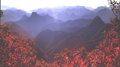 林州风景－－柏尖山
