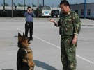 图说中原油田公安警犬基地