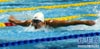 游泳——全国冠军赛：刘子歌晋级女子200米蝶泳决赛