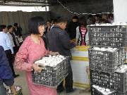商水县计生户特色农产品引来福建客商