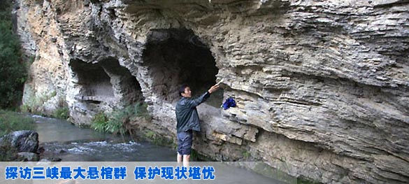 特别关注 新华网河南频道