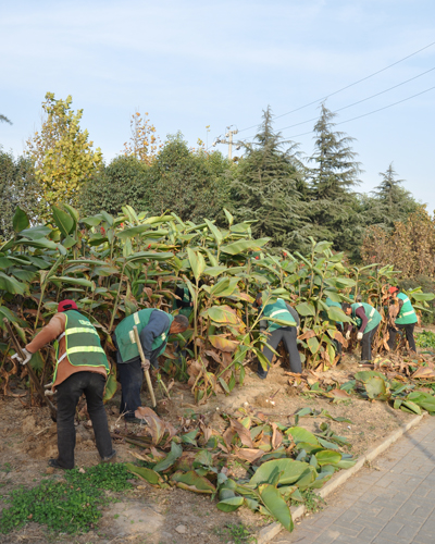 荥阳网 中国楚河汉界